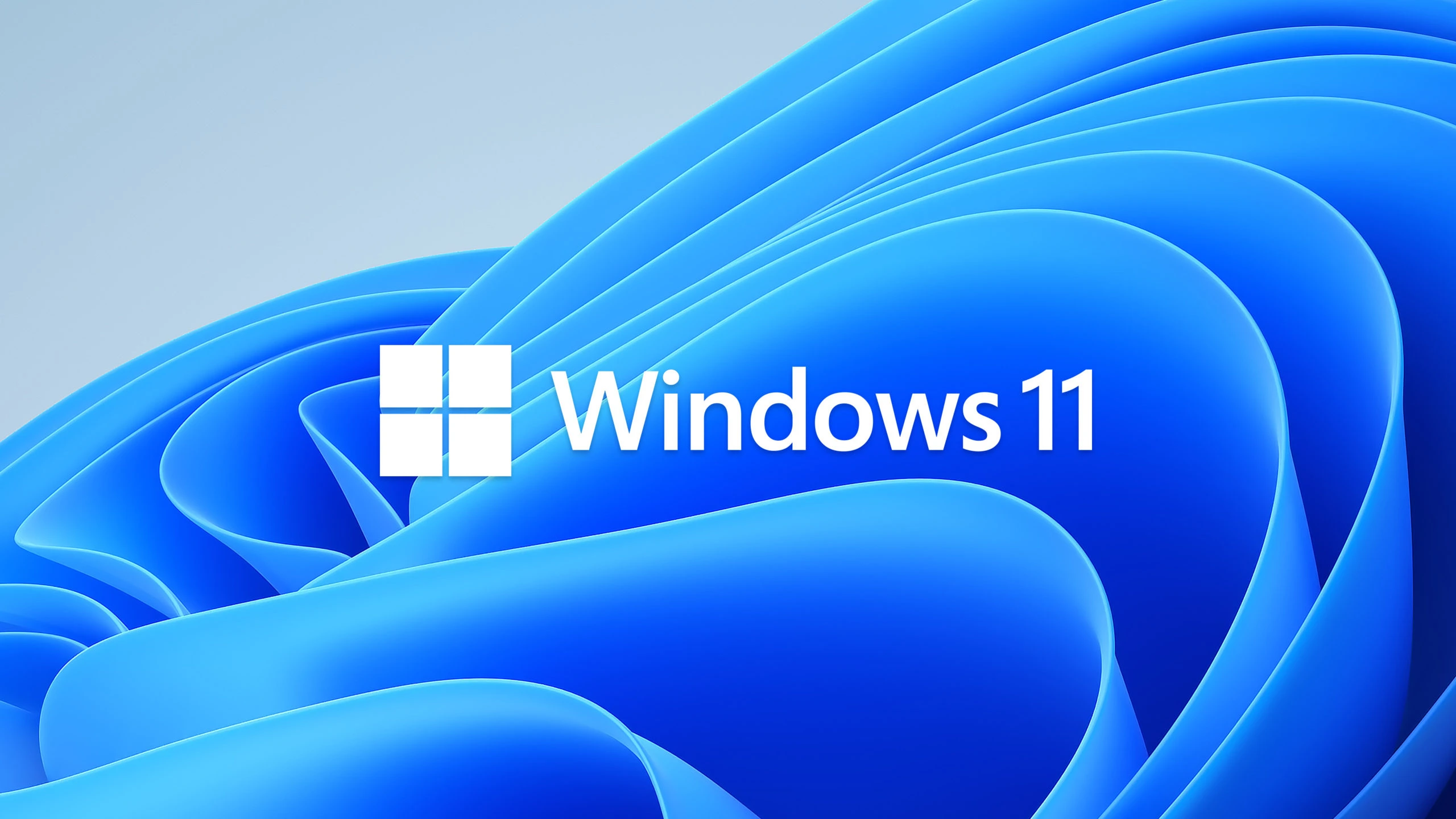 Windows 11 logo ilustrace 1600 scaled.jpg